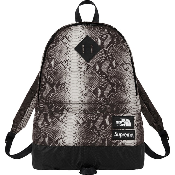 Supreme  North face - Picture 1 of 1